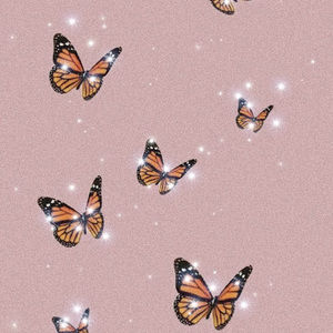 Meet your Posher, Rana